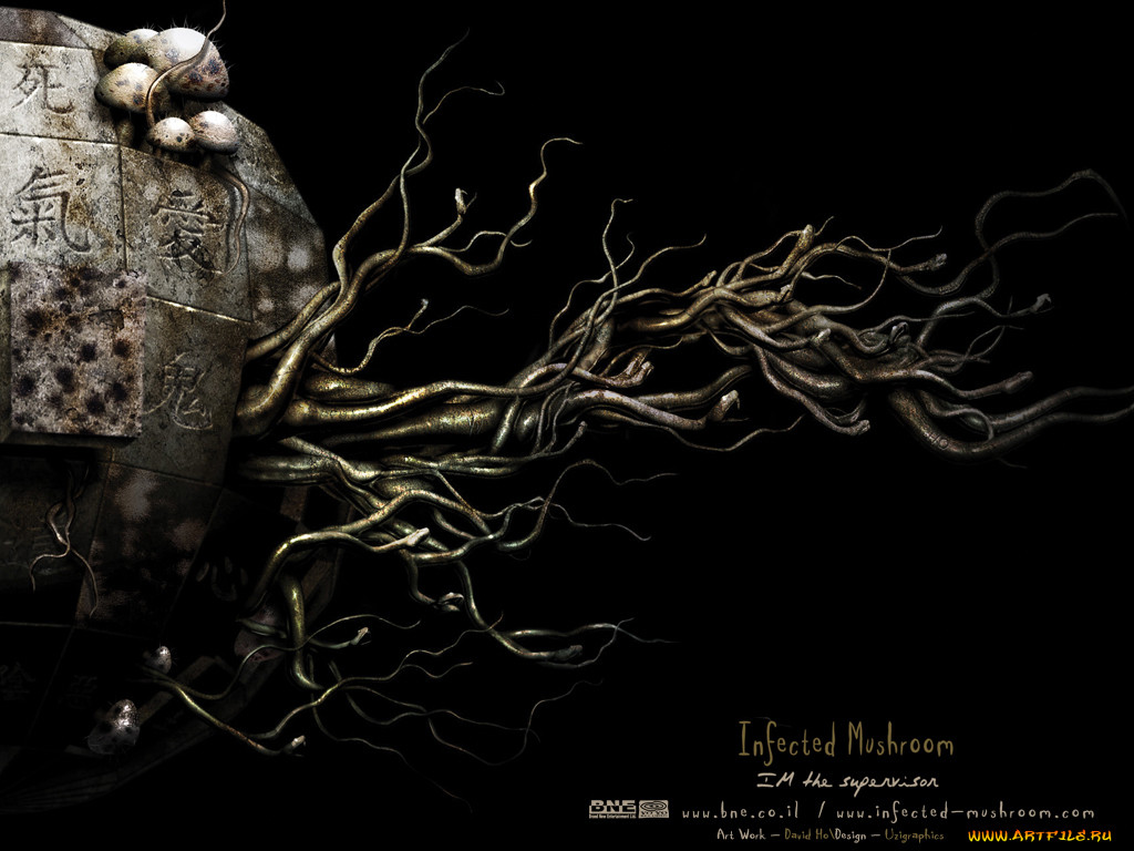 infected, mushroom, 